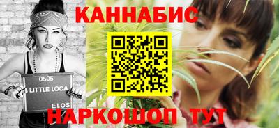 мдпв Бийск
