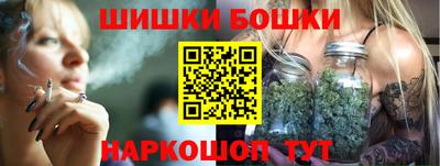 мдпв Бийск