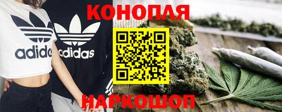 мдпв Бийск