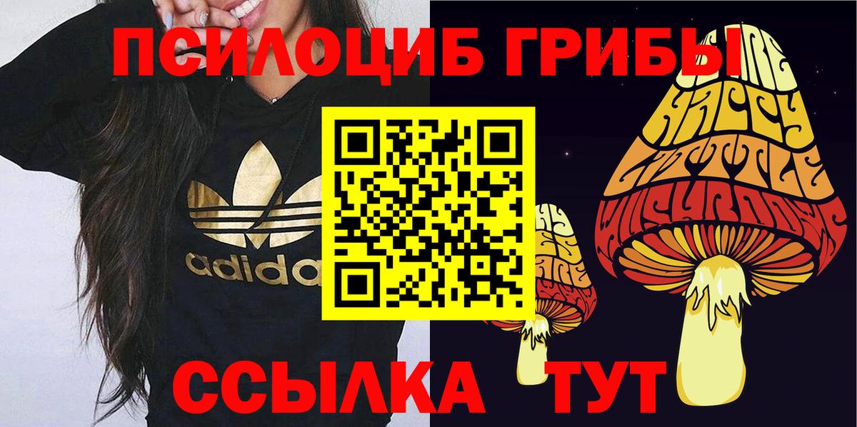 Псилоцибиновые грибы Psilocybine cubensis Каменск-Шахтинский