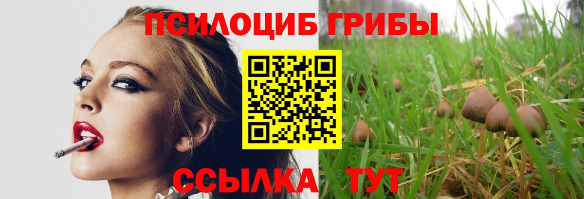 Каменск-Шахтинский  Псилоцибиновые грибы Psilocybine cubensis  Вход с VPN  Галлюциногенные грибы мухоморы 